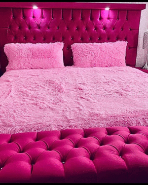 Recamara Ex. Capitonada